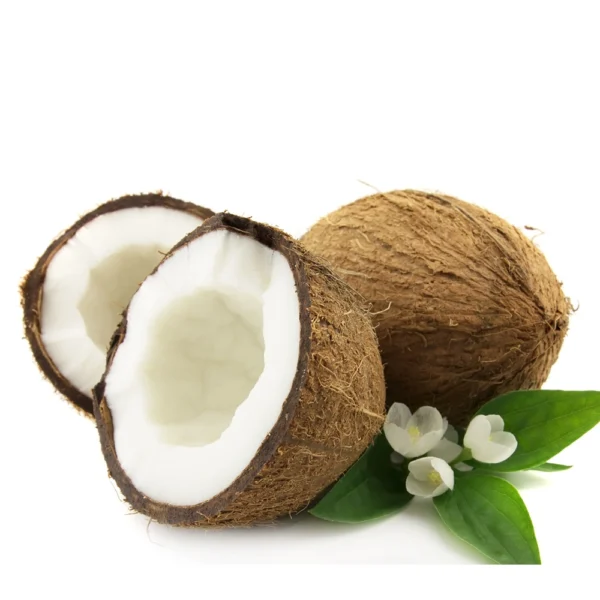 COCO BRASILERO